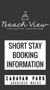 ss leaflet icon